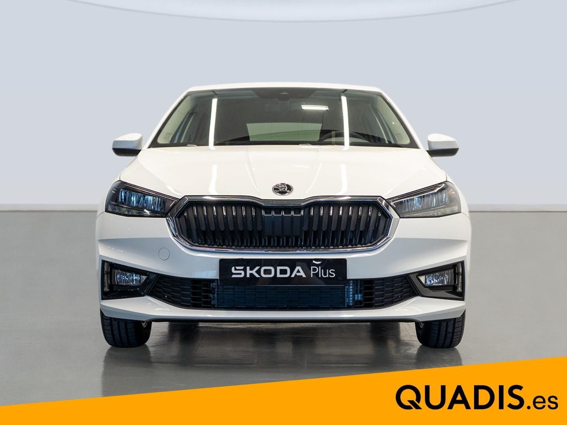 Imagen 2 de SKODA Fabia