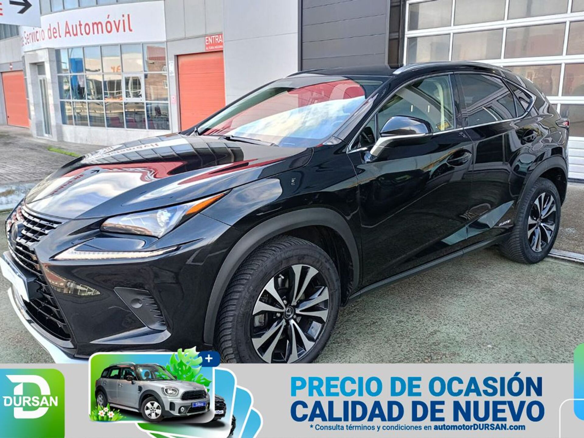 Imagen de LEXUS NX