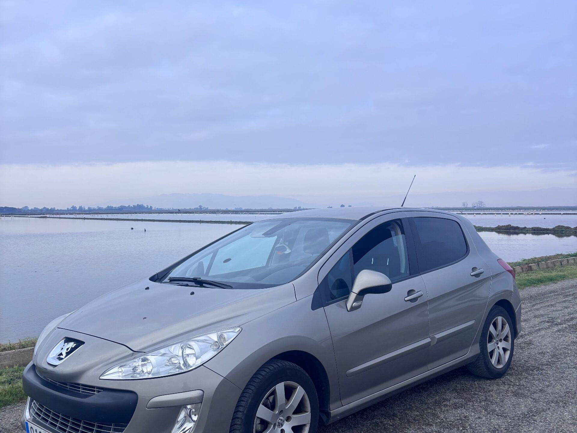 Imagen 1 de PEUGEOT 308