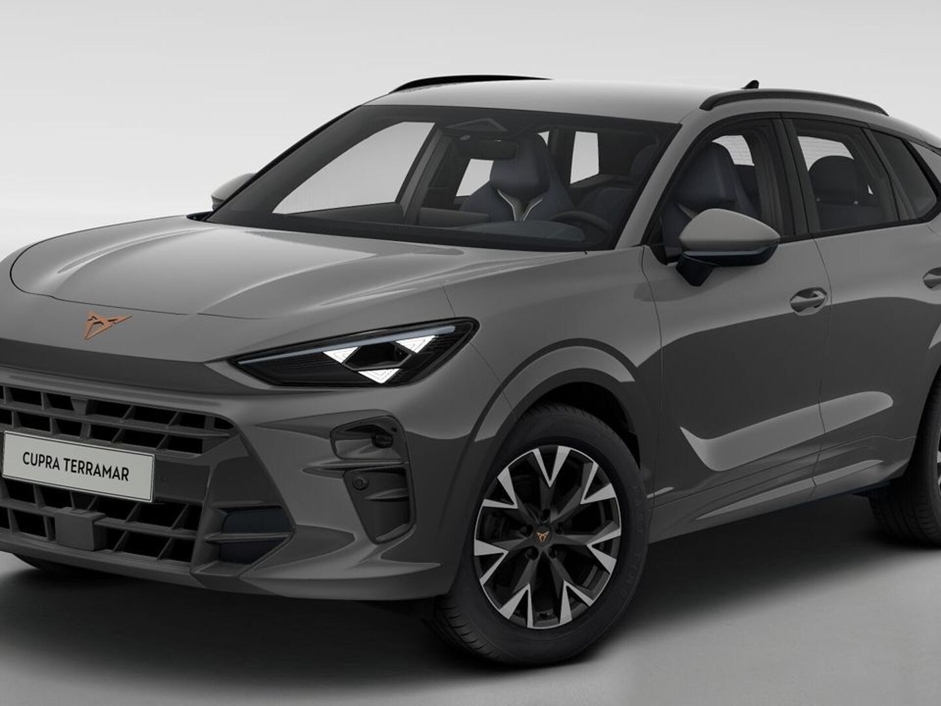 Imagen 2 de CUPRA Terramar