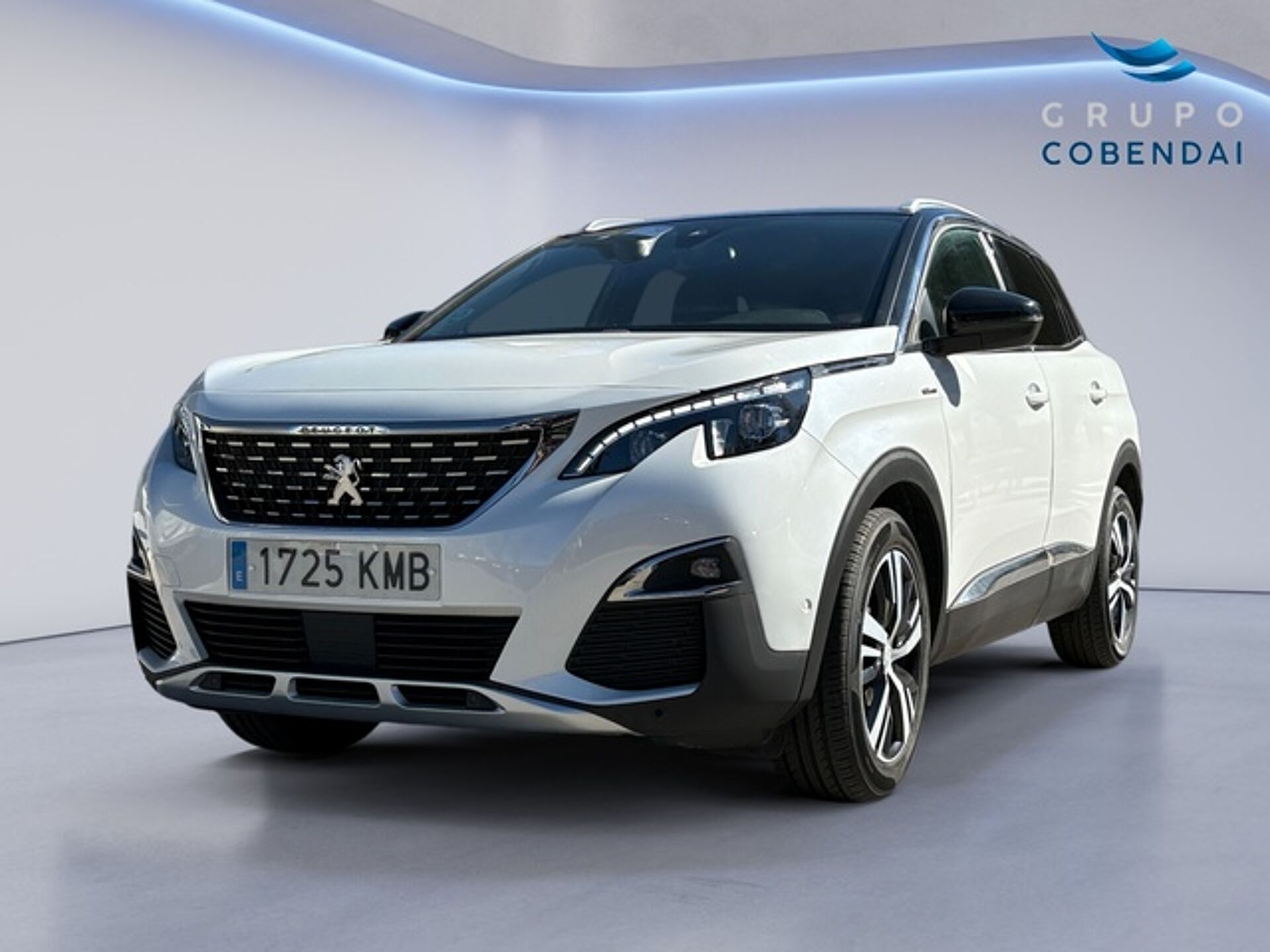Imagen de PEUGEOT 3008 SUV
