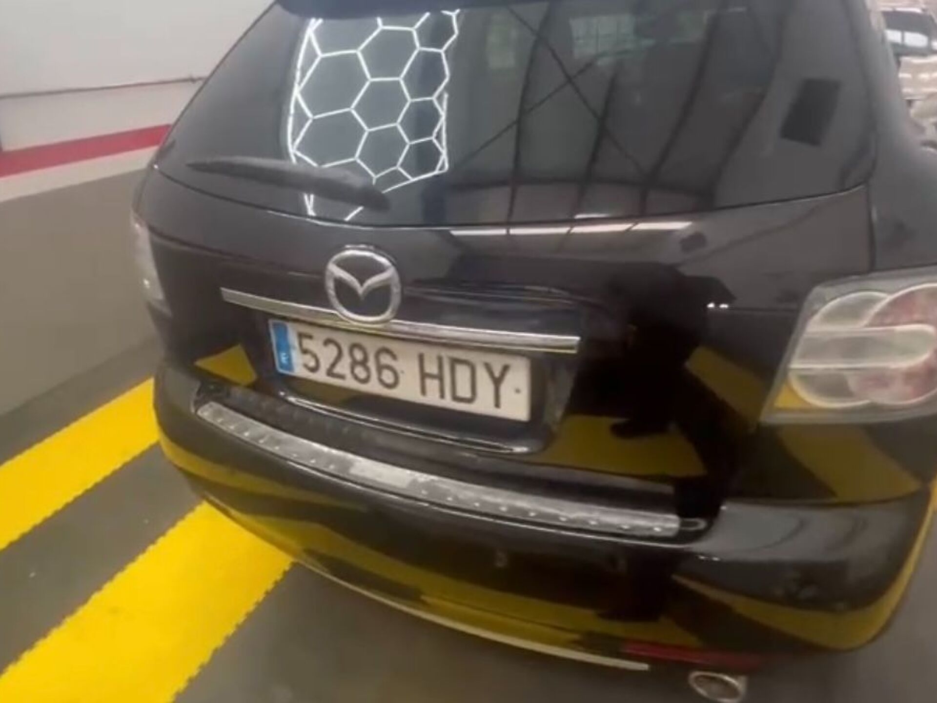 Imagen 3 de MAZDA CX-7