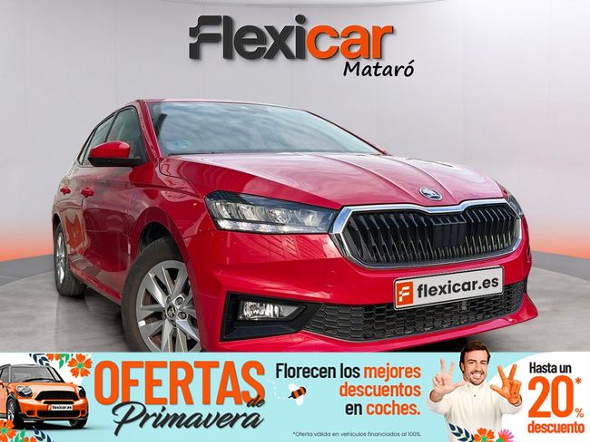 Imagen de SKODA Fabia