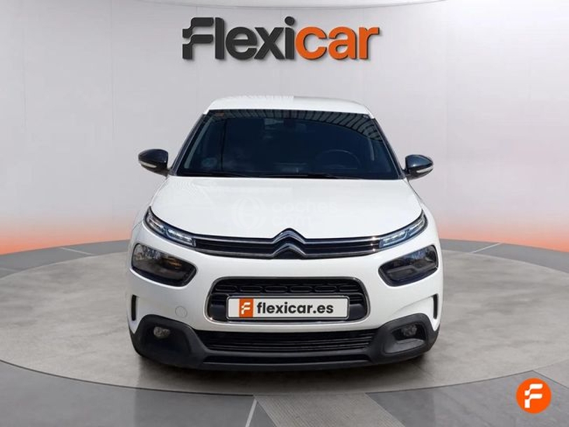 Foto del CITROEN C4 Cactus 1.6BlueHDi S&S Business 100