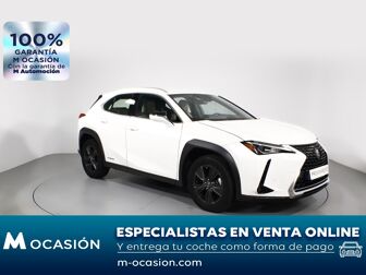 Imagen de LEXUS UX 250h Business 2WD