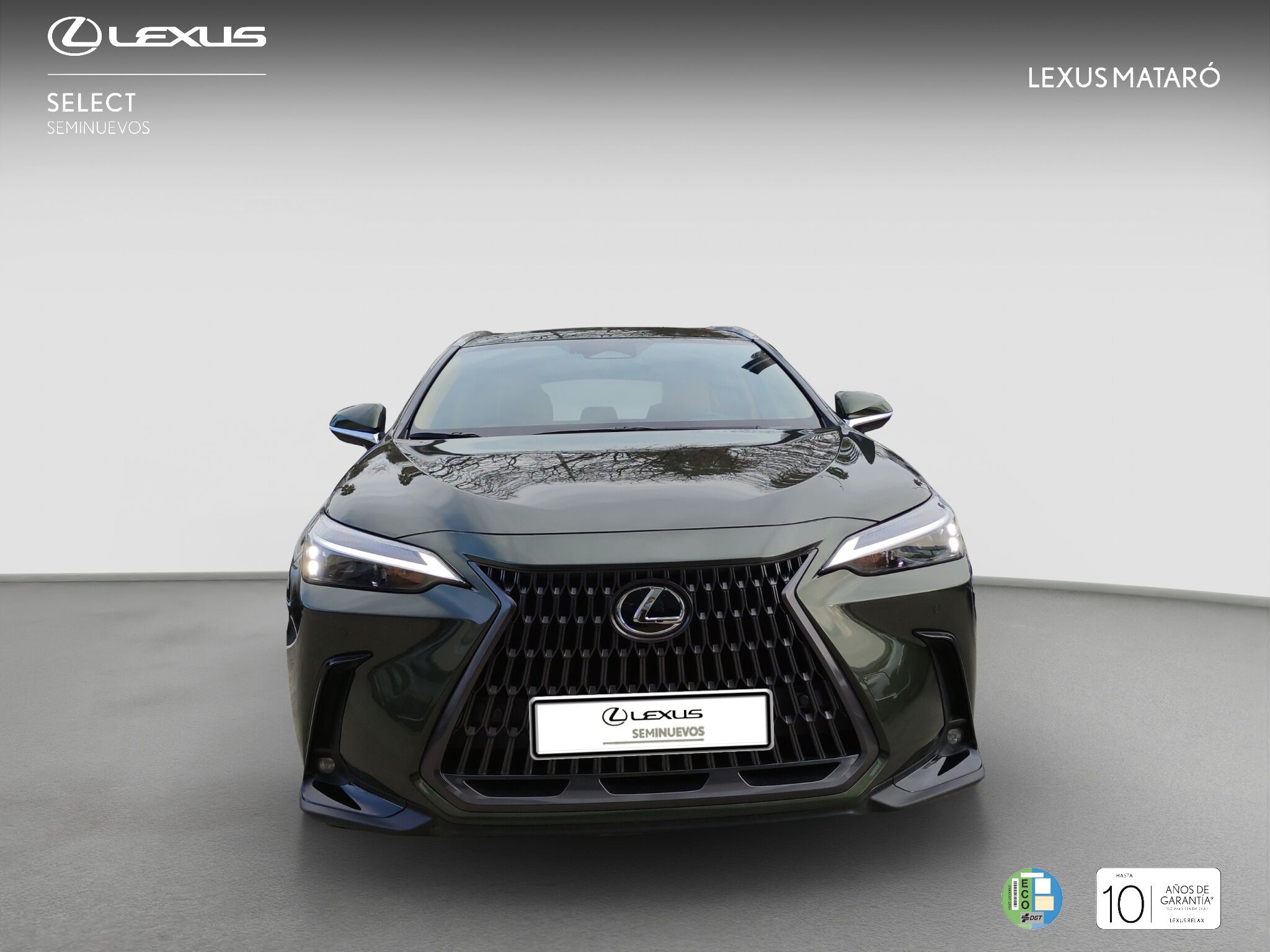 Foto del LEXUS NX 350h Premium+ 2WD