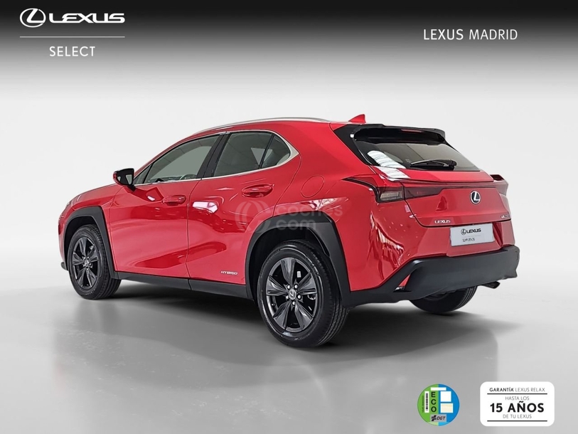 Foto del LEXUS UX 250h Business 4WD