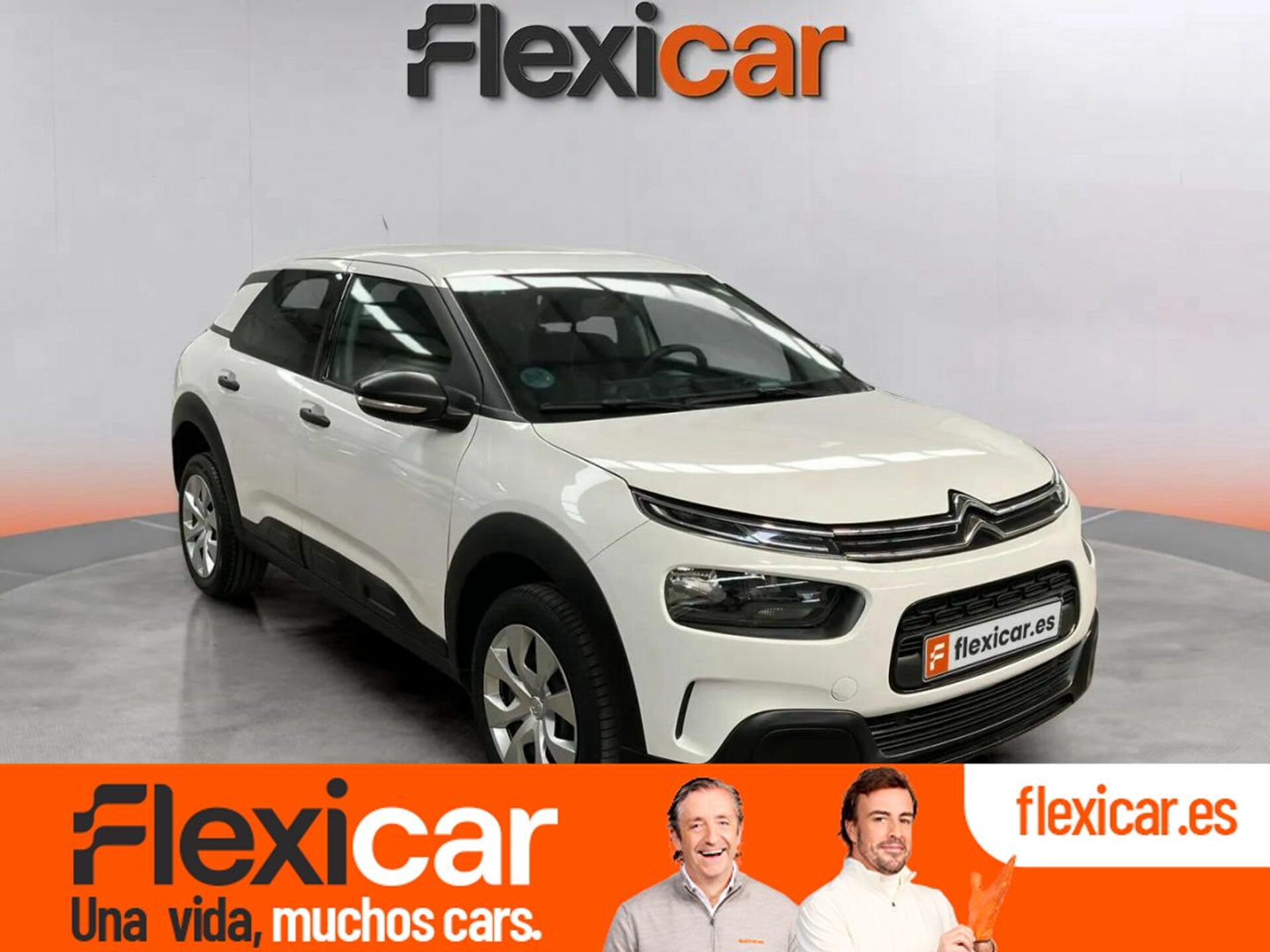 Imagen de CITROEN C4 Cactus