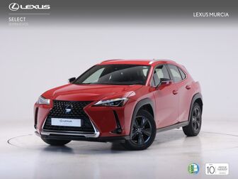 Imagen de LEXUS UX 250h Business 4WD