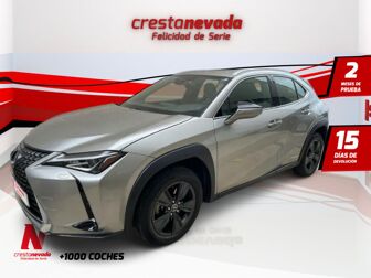 Imagen de LEXUS UX 250h Business 2WD