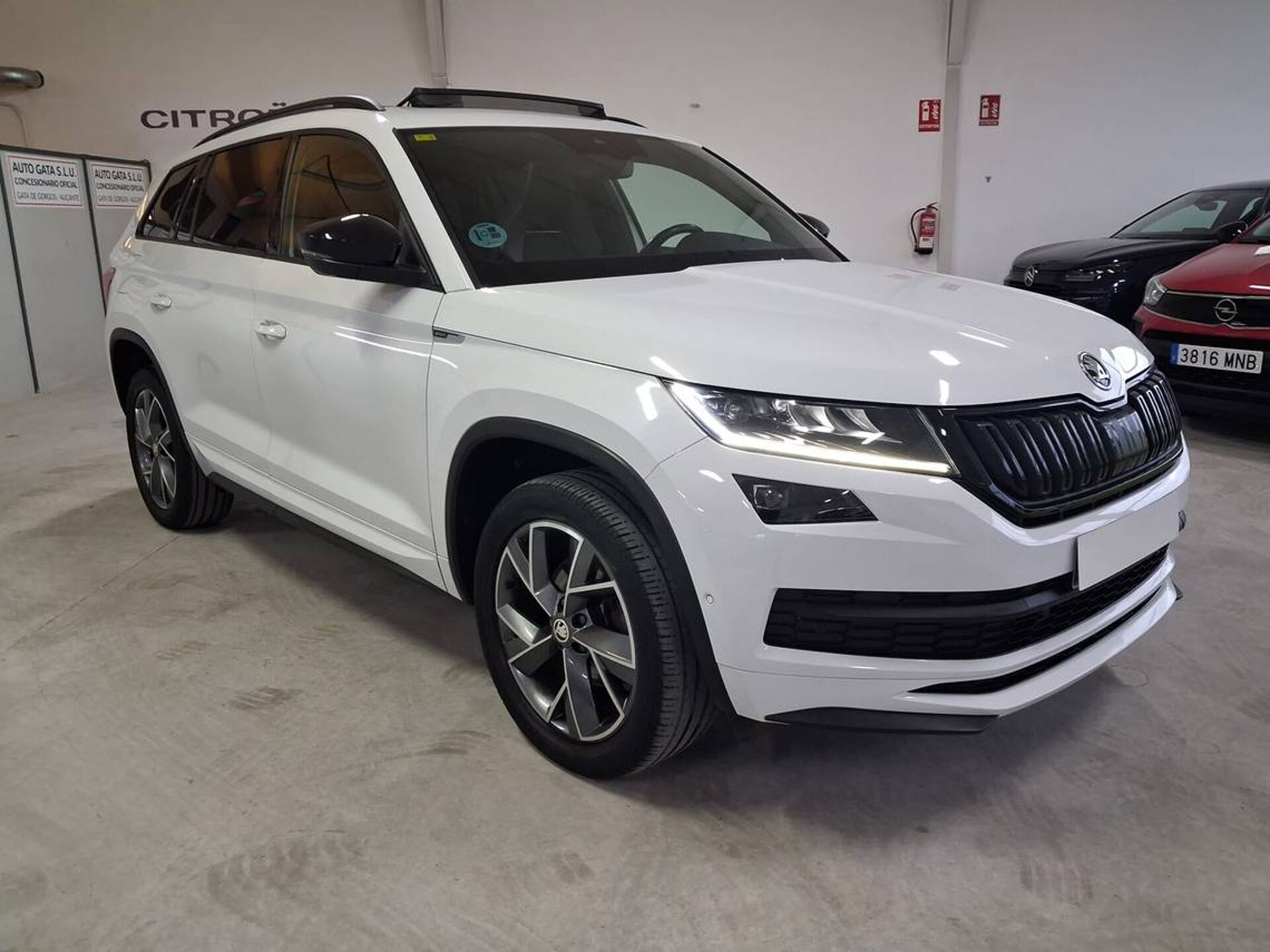 Imagen 3 de SKODA Kodiaq