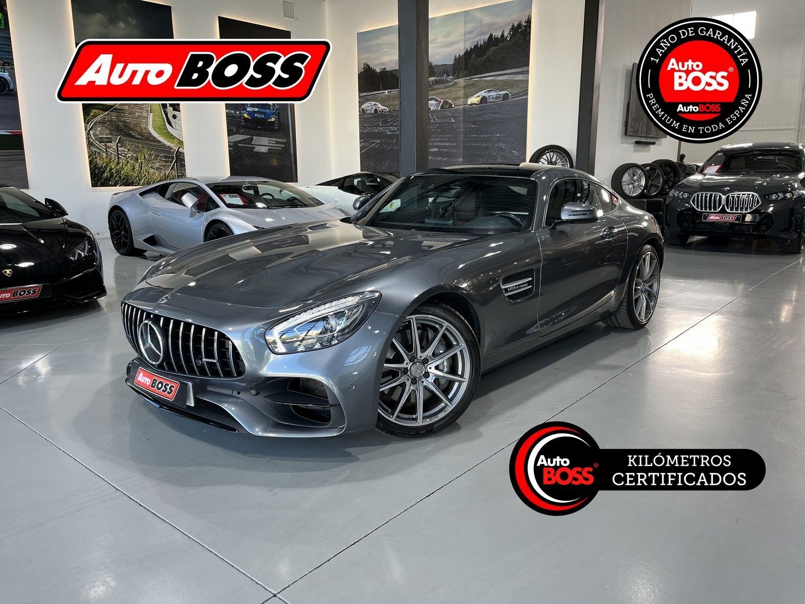 MERCEDES AMG GT (Coupé 462) en Sevilla