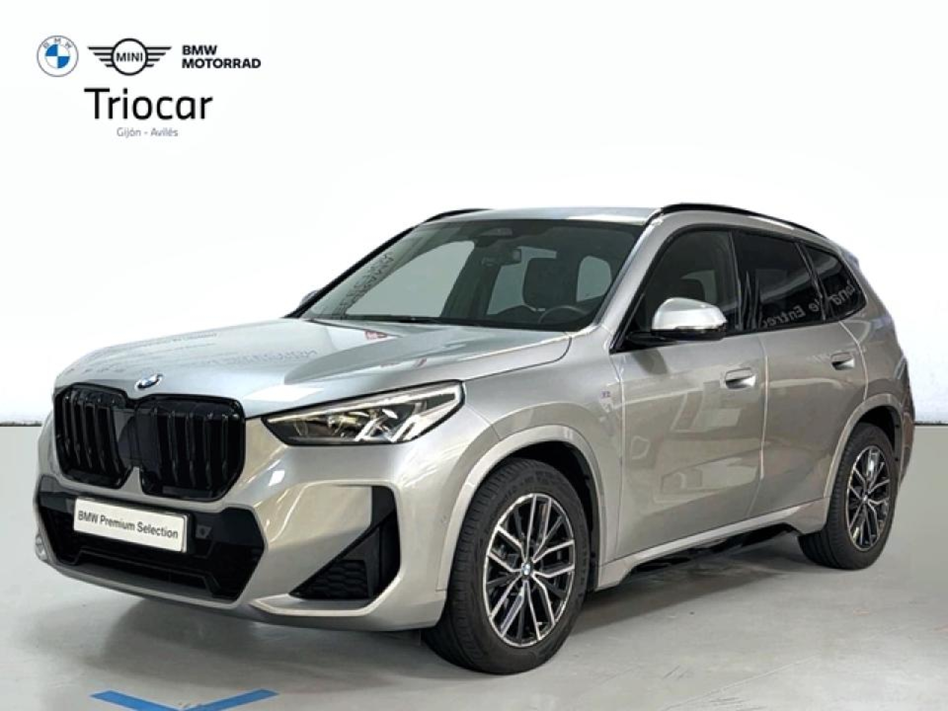 Imagen de BMW X1