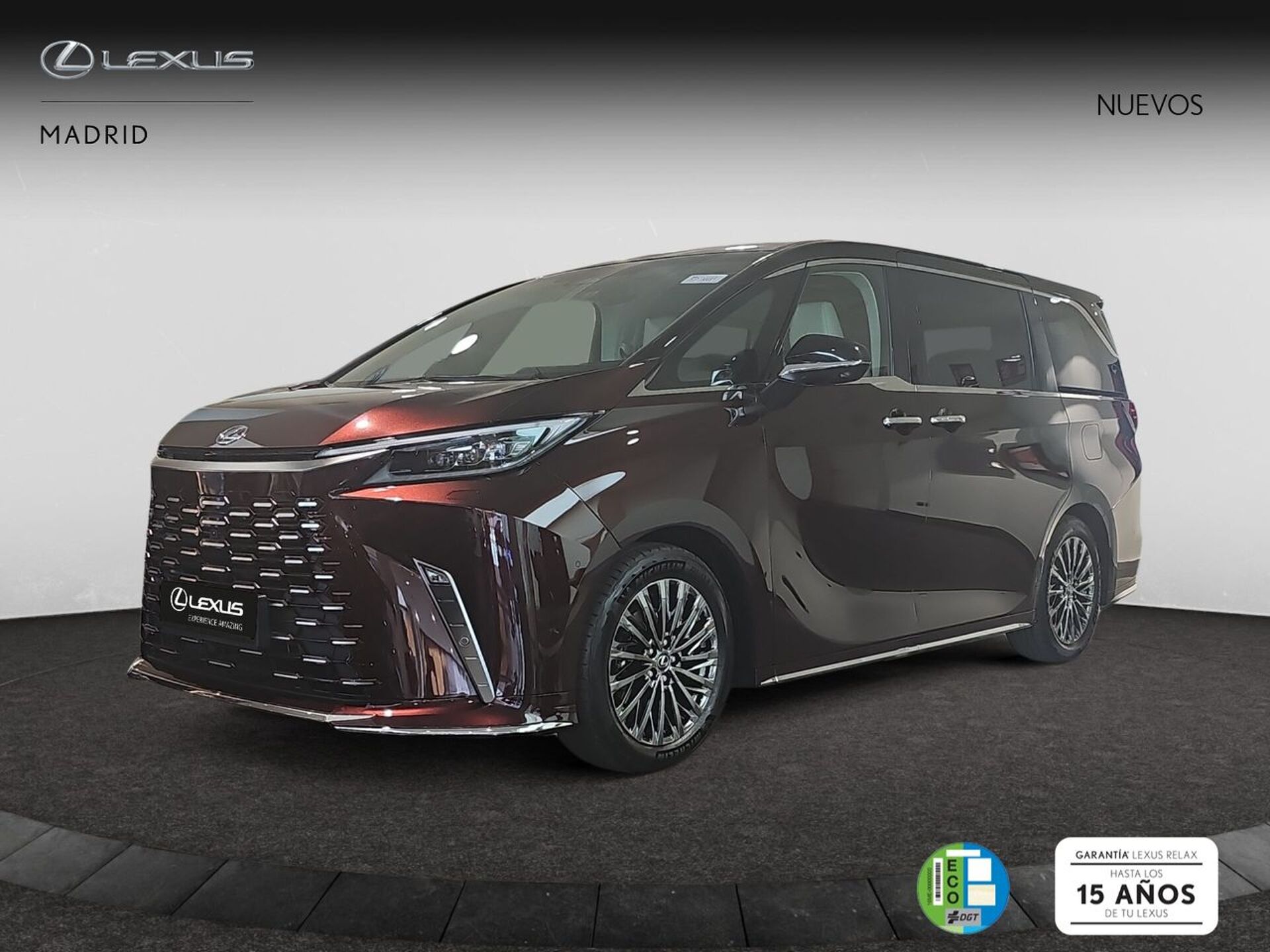 Imagen 2 de LEXUS LM