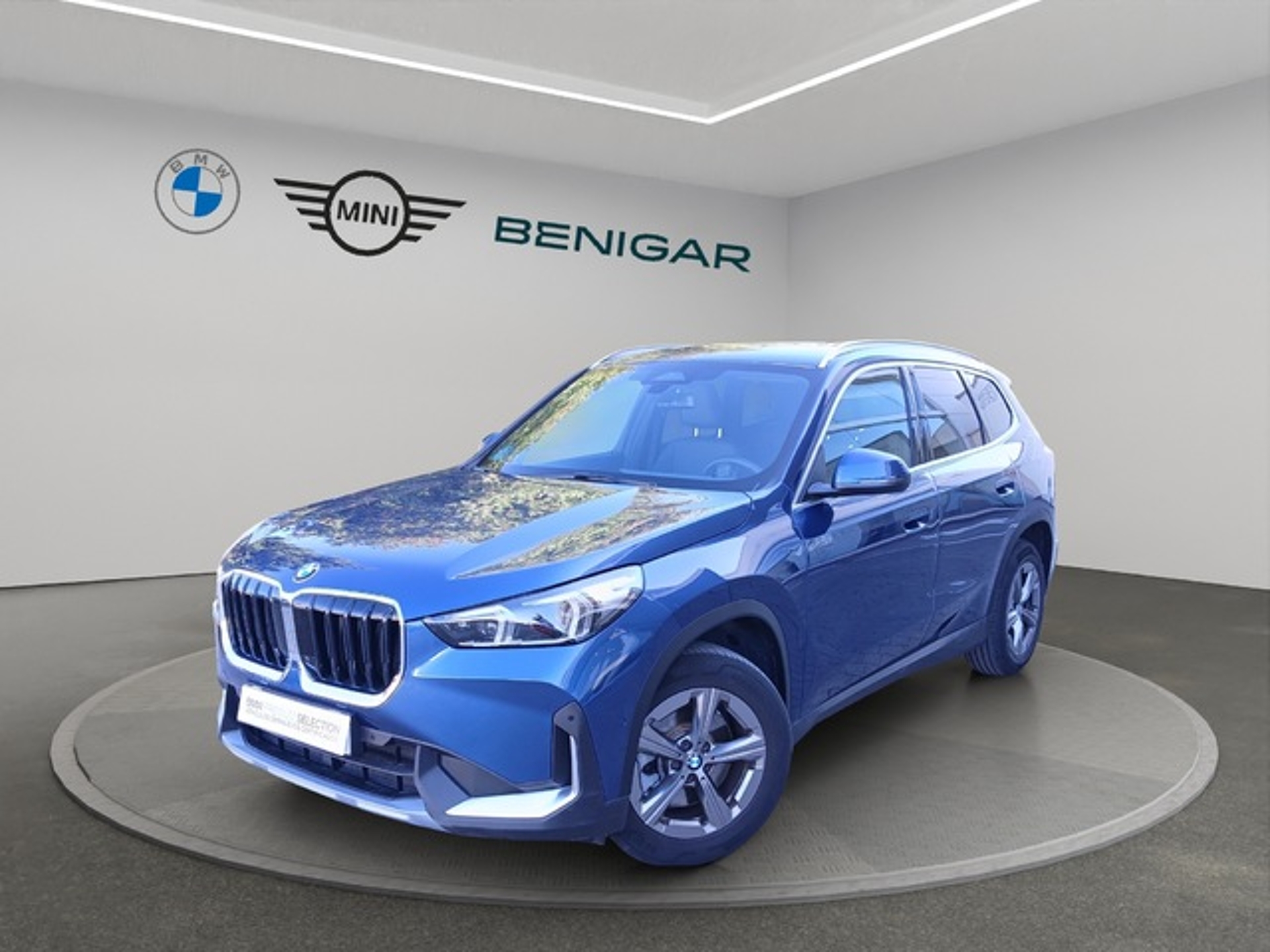 Imagen de BMW X1