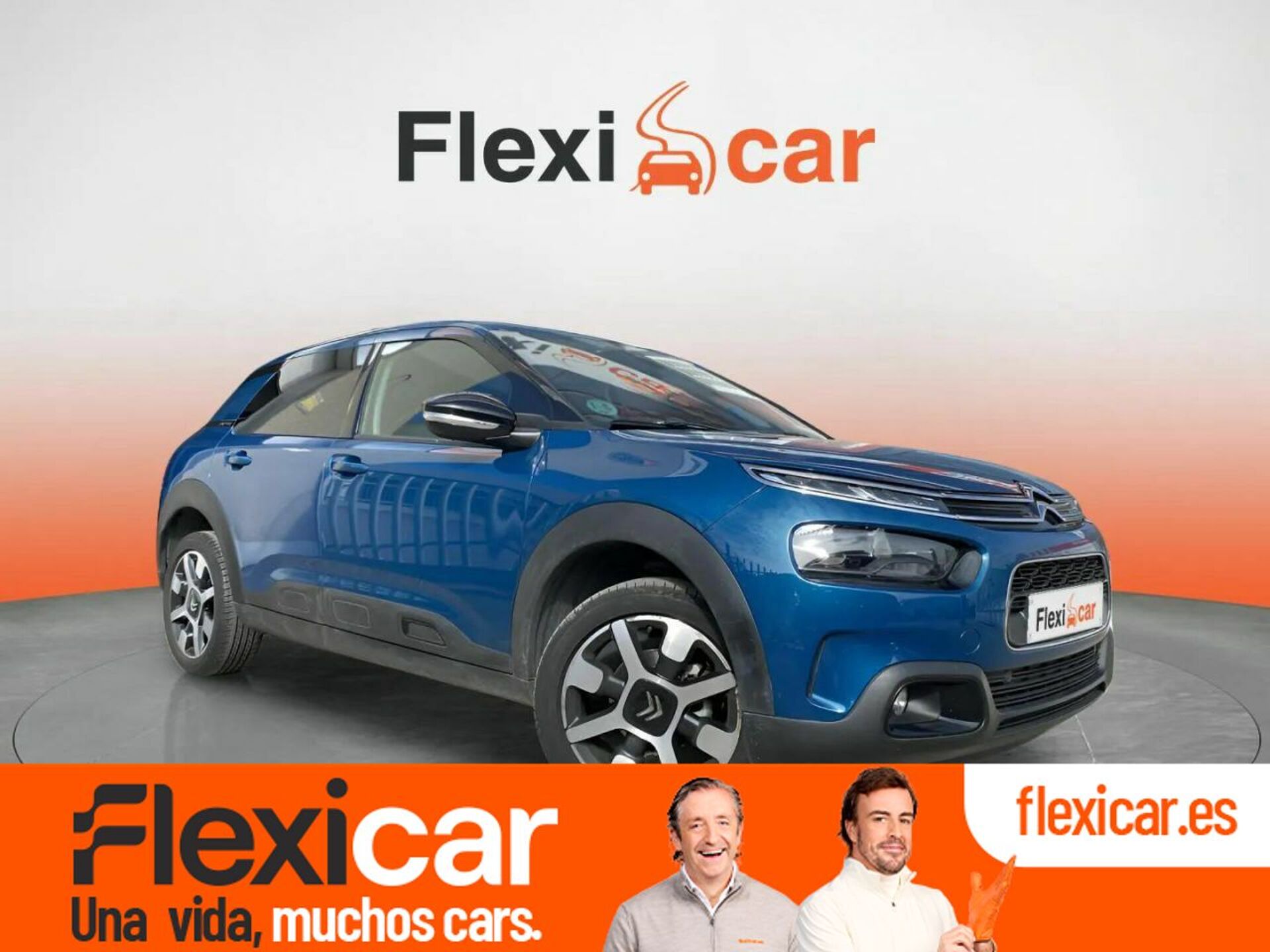 Imagen de CITROEN C4 Cactus