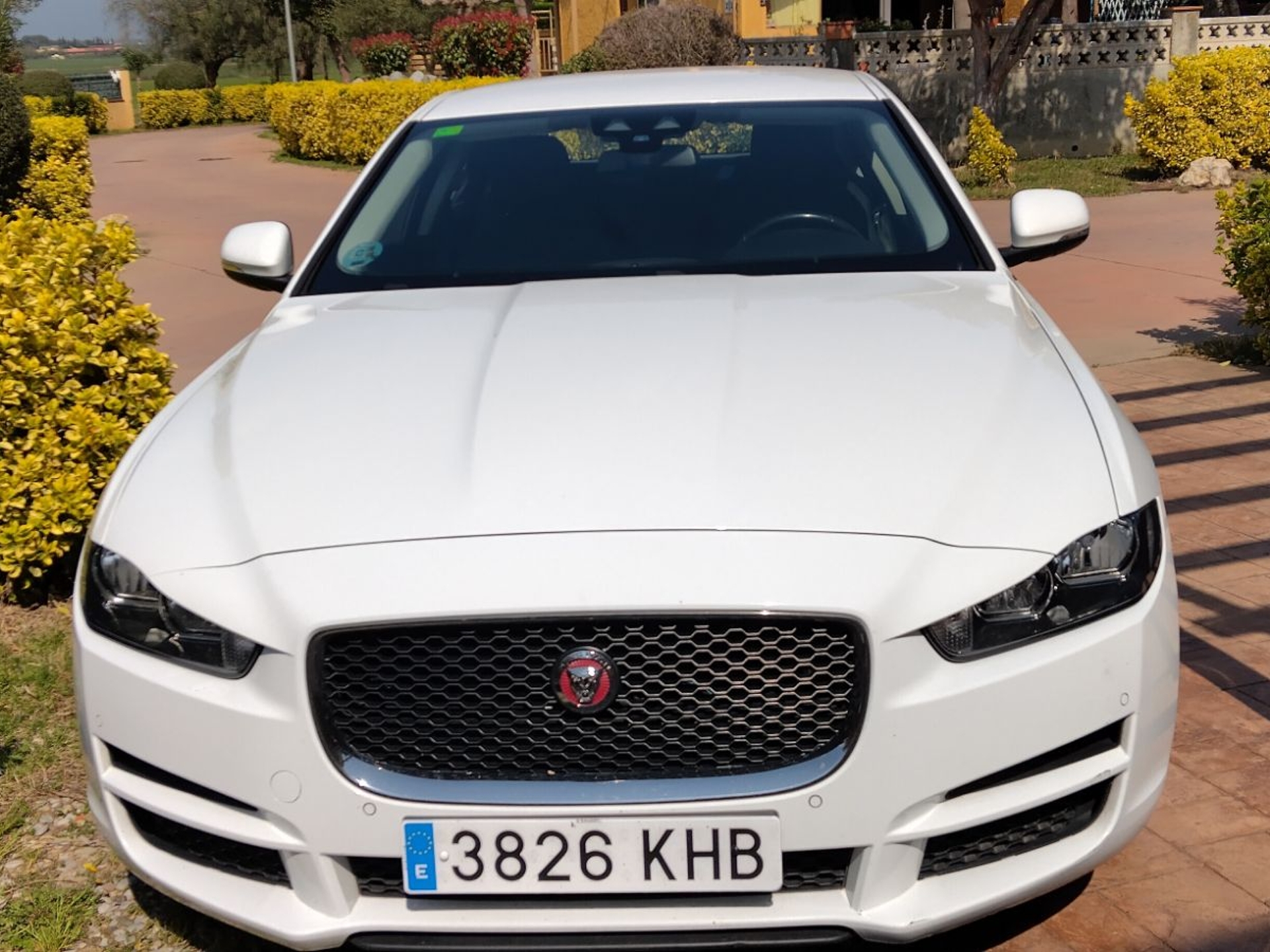 Imagen de JAGUAR XE