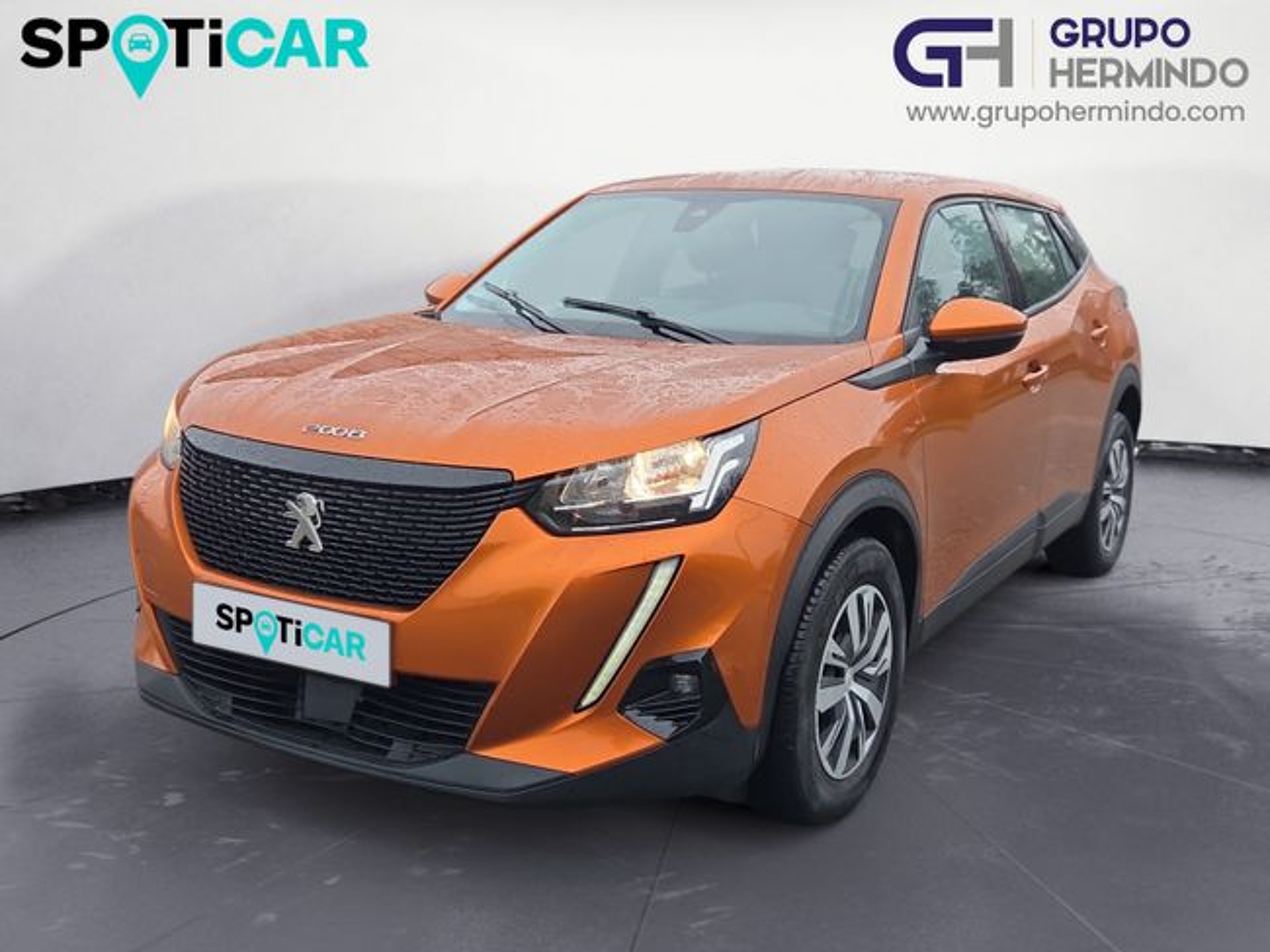 Imagen de PEUGEOT 2008