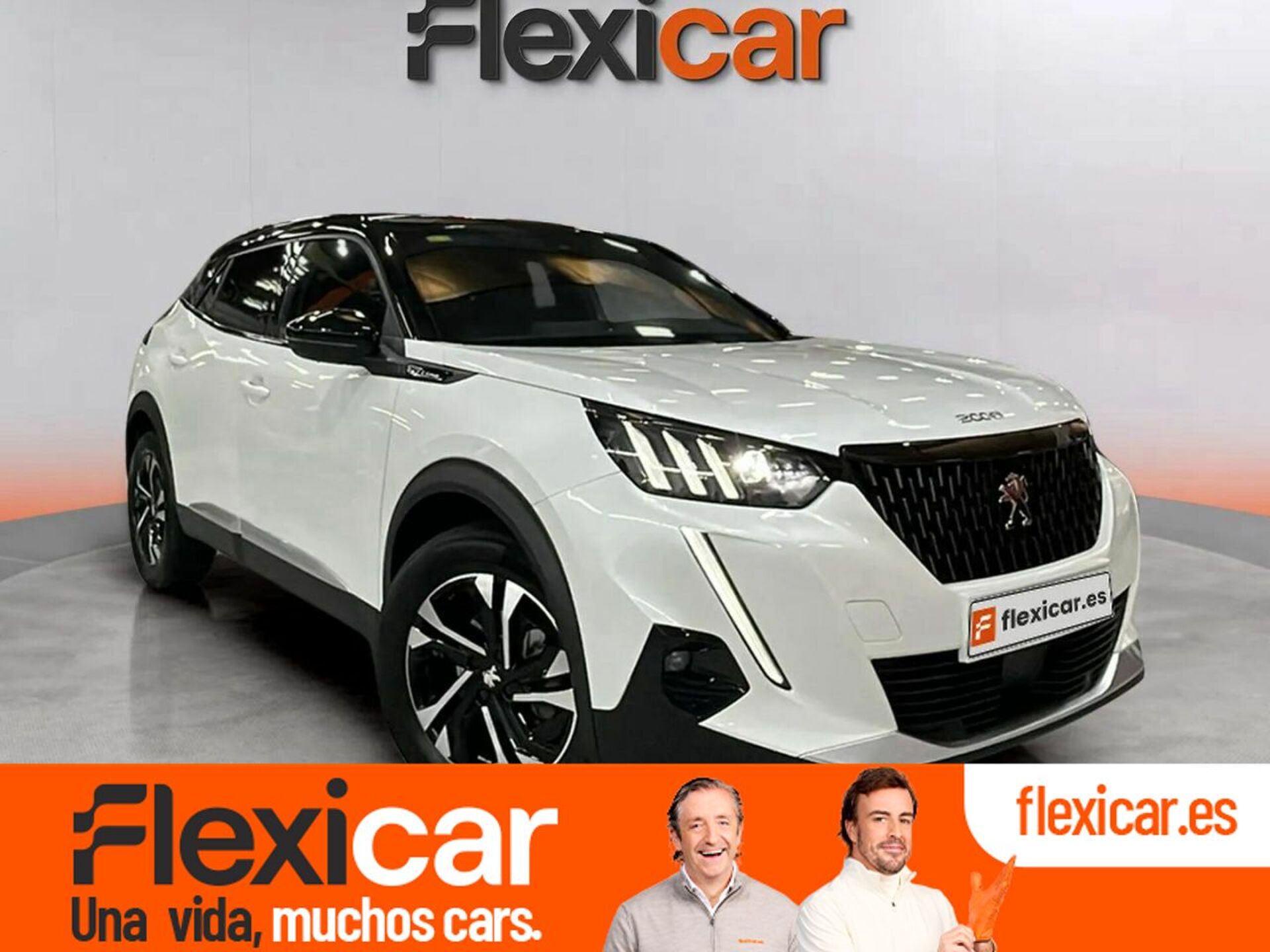 Imagen de PEUGEOT 2008
