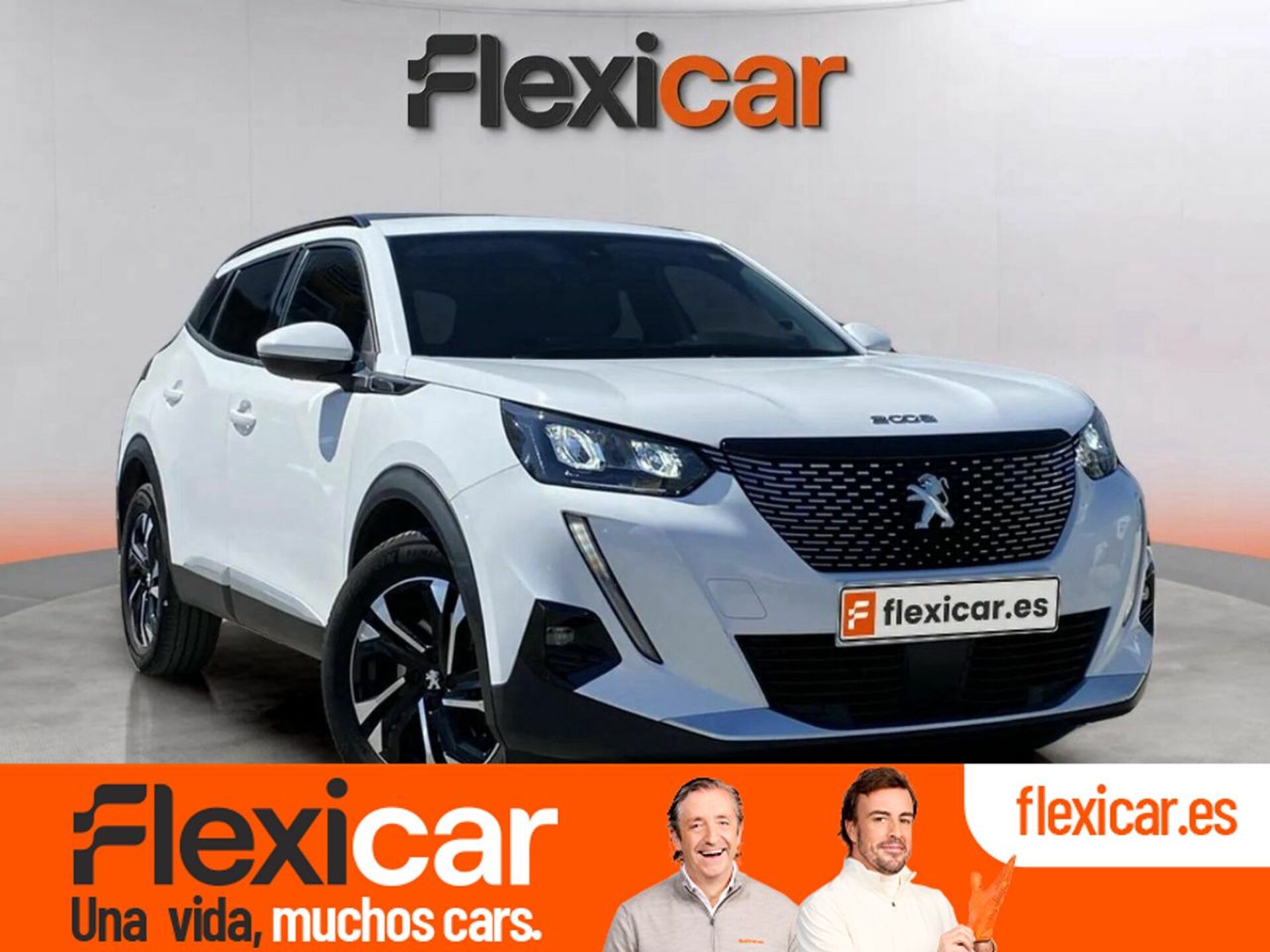 Imagen de PEUGEOT 2008