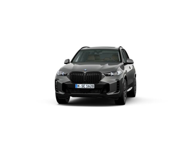 BMW X5 (xDrive30d  xLine 219 kW (298 CV)) en Alicante