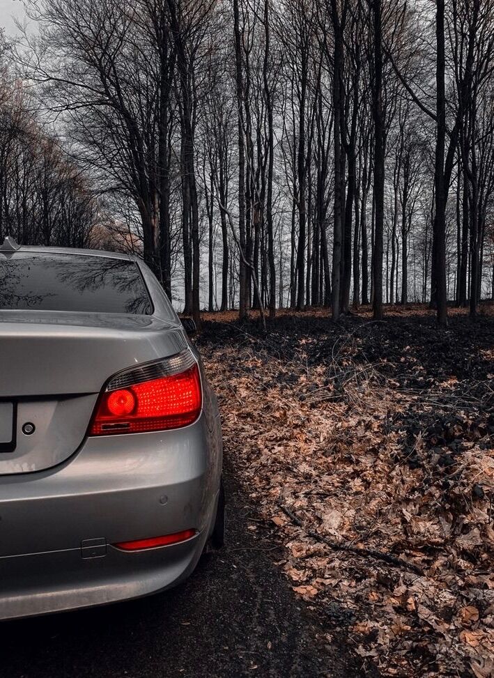 Foto del BMW Serie 5 520i