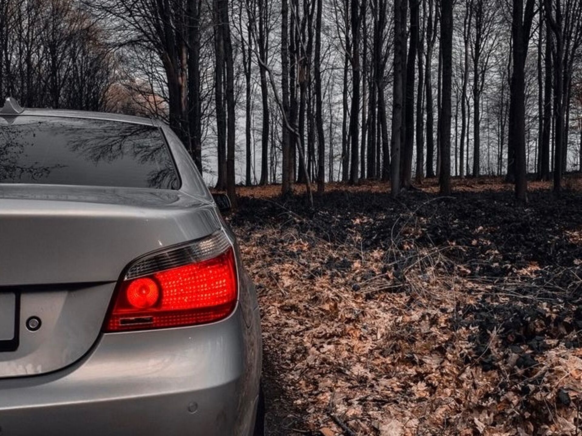 Imagen 2 de BMW Serie 5