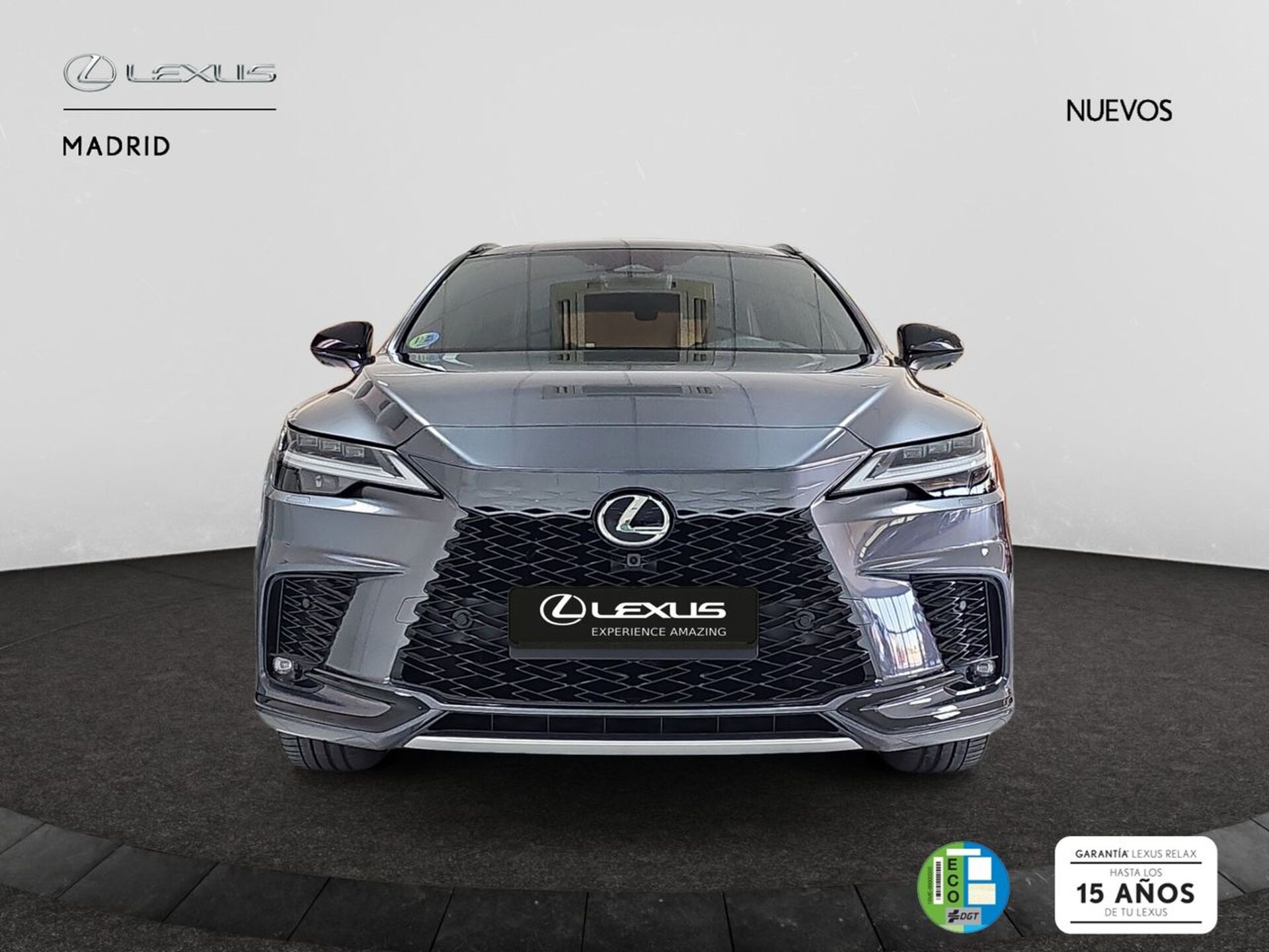 Imagen 1 de LEXUS RX