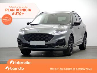 Imagen de FORD Kuga 1.5 EcoBoost ST-Line X FWD 150