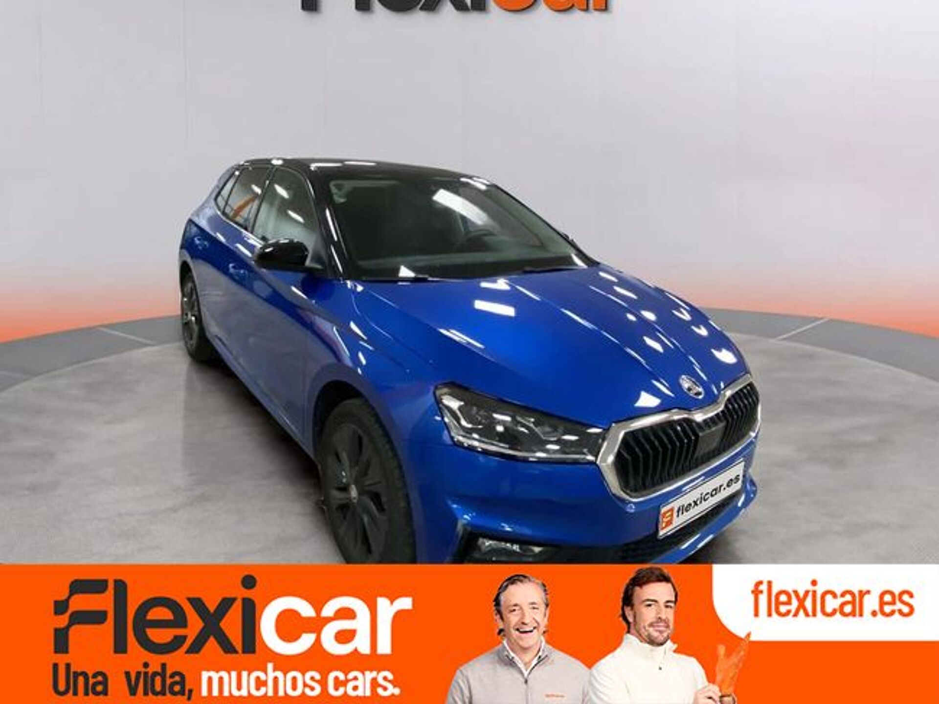 Imagen de SKODA Fabia