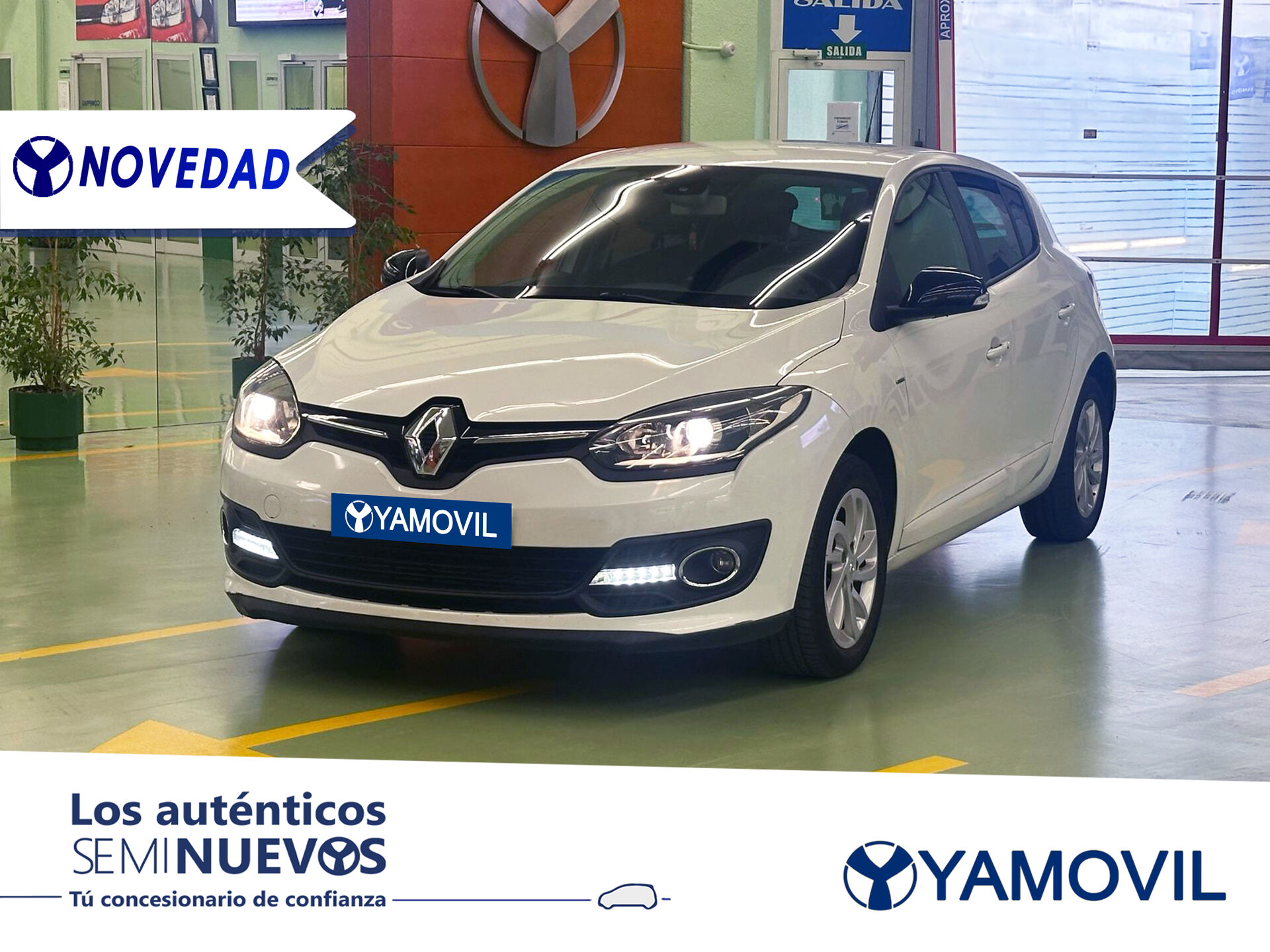 Imagen de RENAULT Mégane