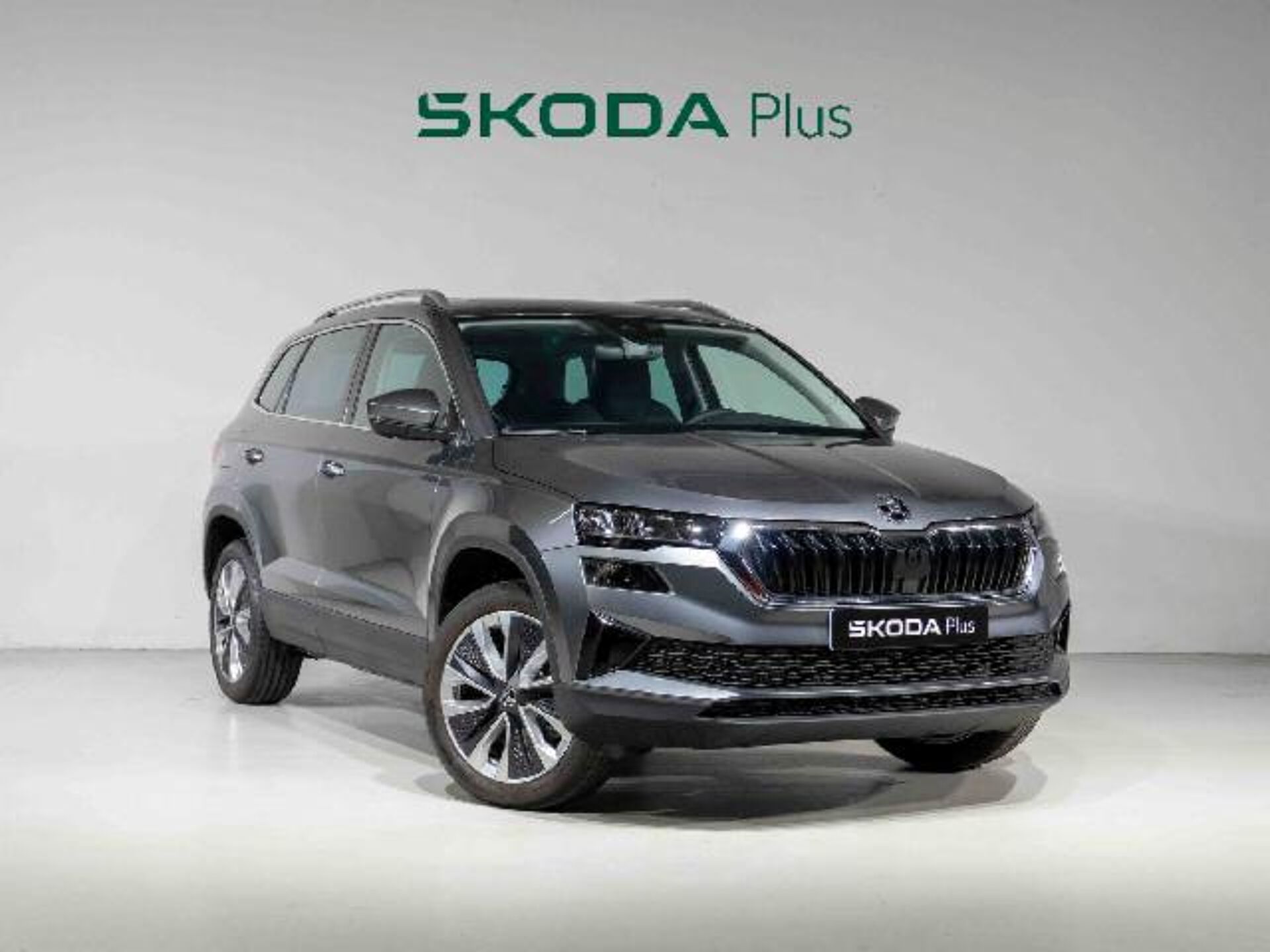 Imagen de SKODA Karoq