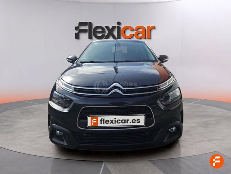 Foto del CITROEN C4 Cactus 1.5BlueHDi S&S C-Series 100