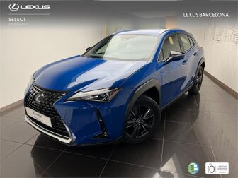 Imagen de LEXUS UX 250h Business 4WD