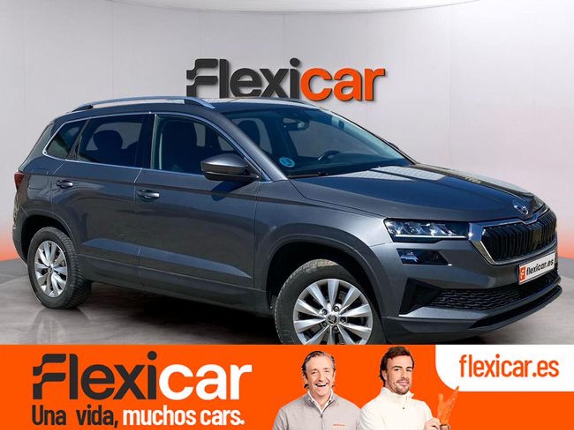 Imagen de SKODA Karoq