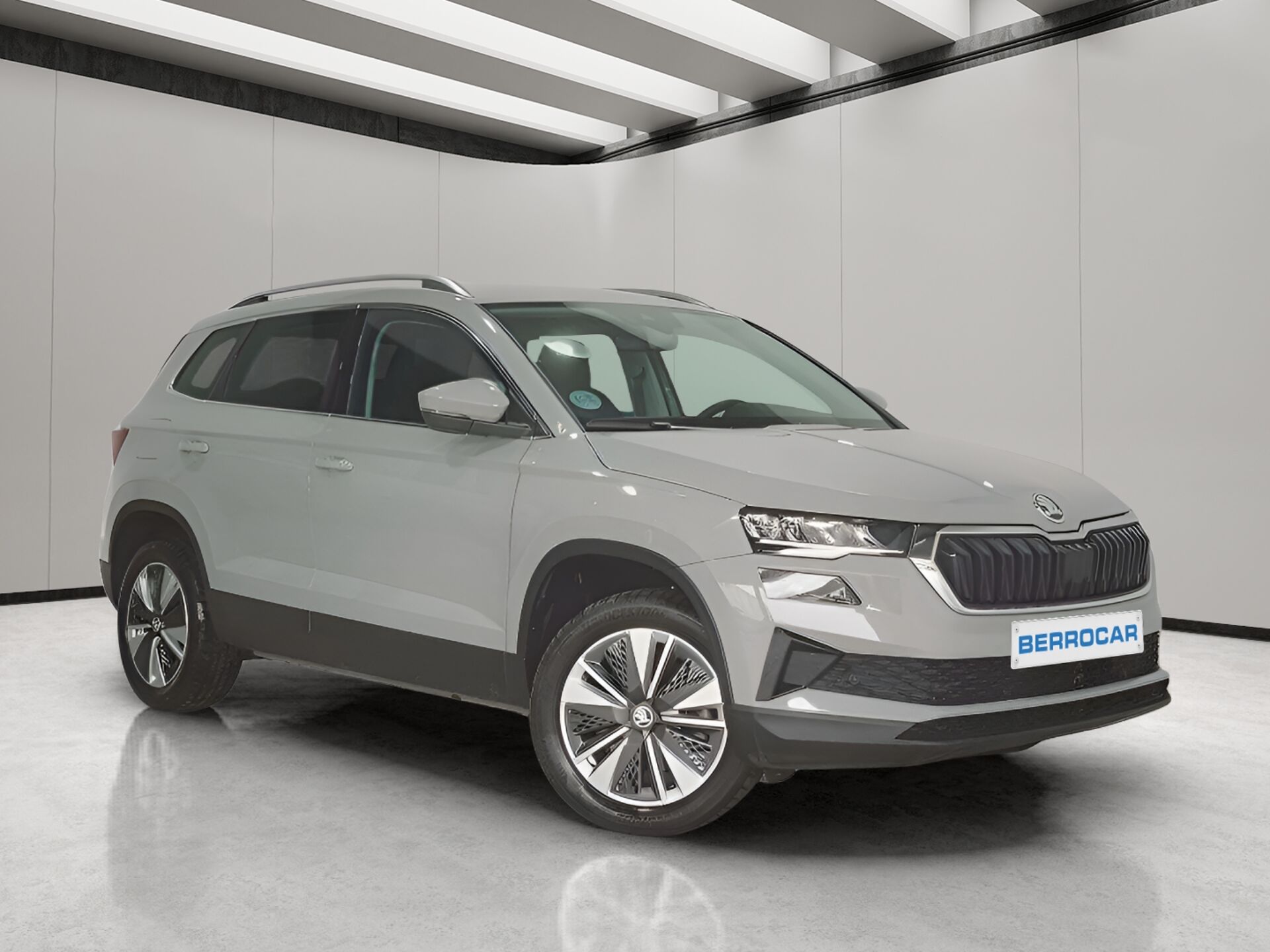 Imagen de SKODA Karoq