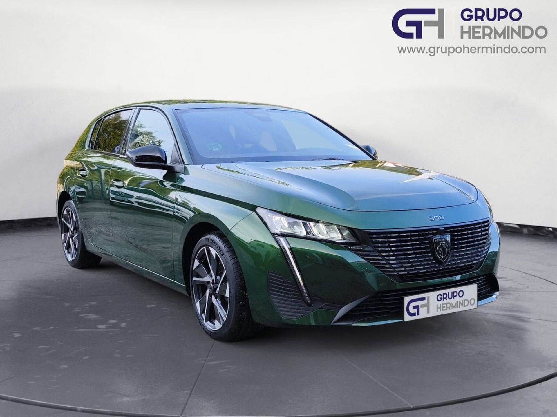 Imagen de PEUGEOT 308