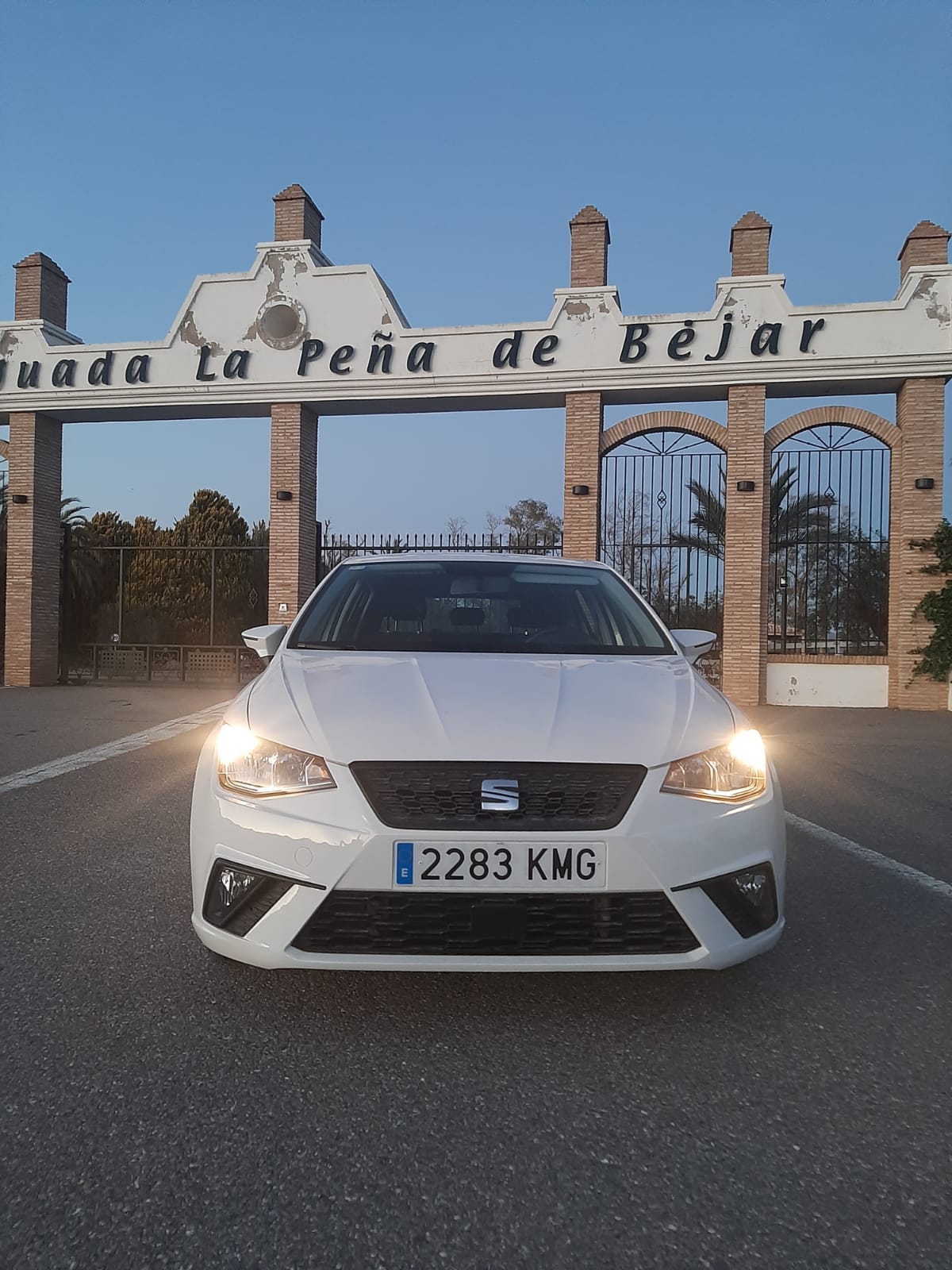 Foto del SEAT Ibiza 1.6TDI CR S&S Reference 95
