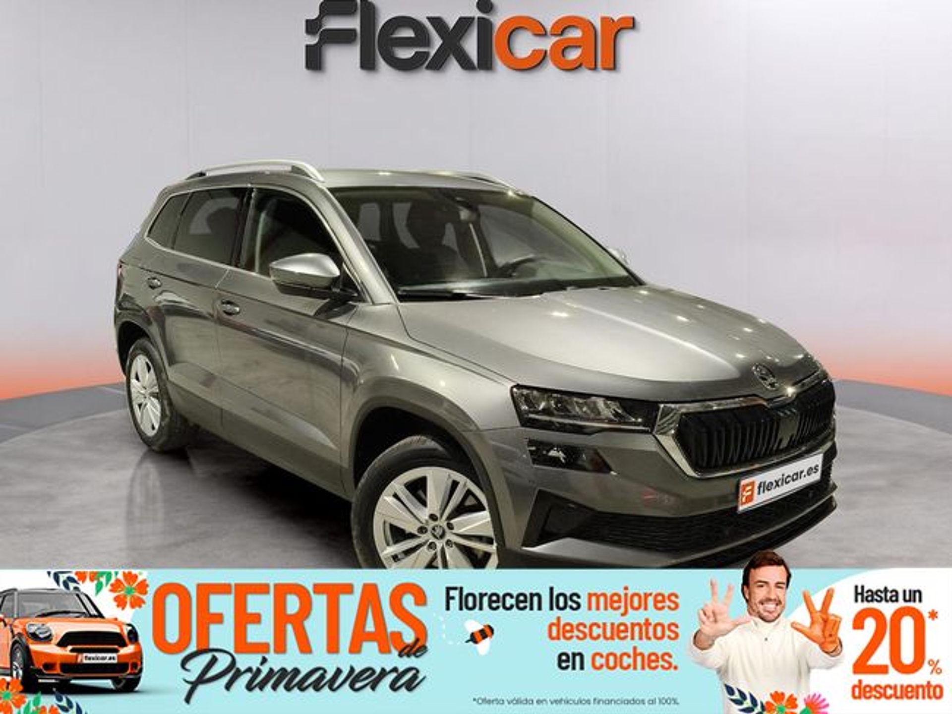 Imagen de SKODA Karoq