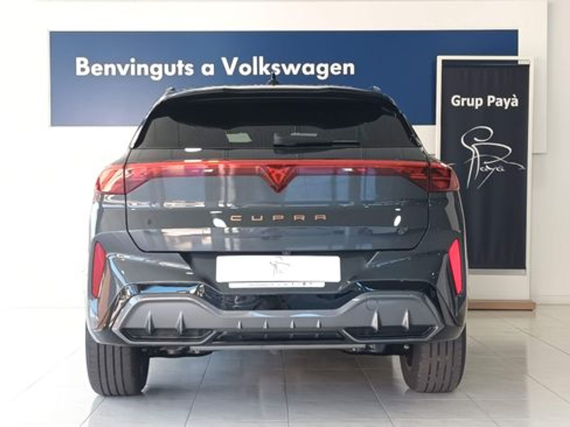 Imagen 3 de CUPRA Terramar