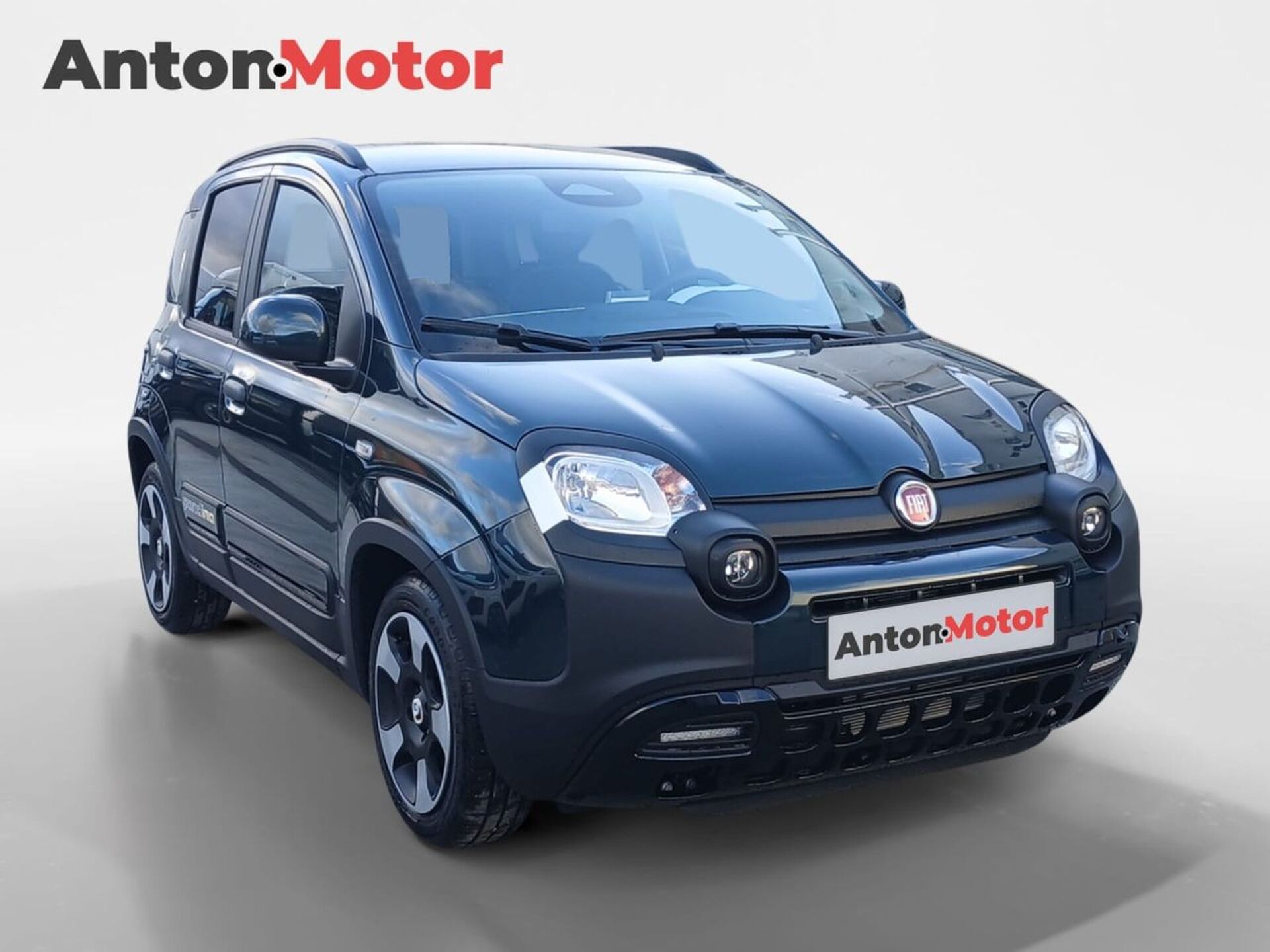 Imagen 3 de FIAT Panda