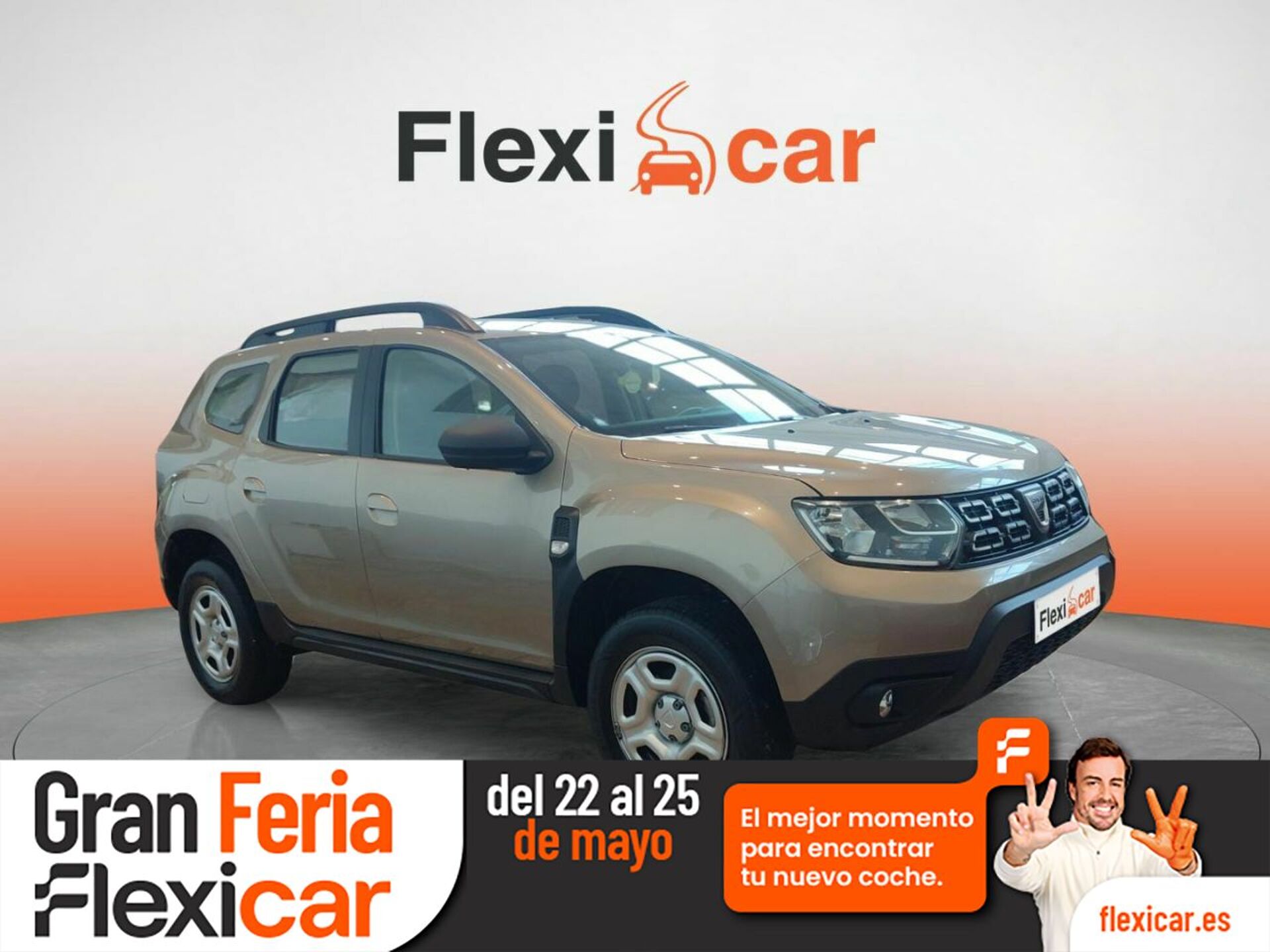 Imagen de DACIA Duster