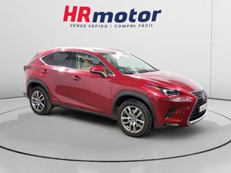 Imagen de LEXUS NX 300h Luxury 4WD