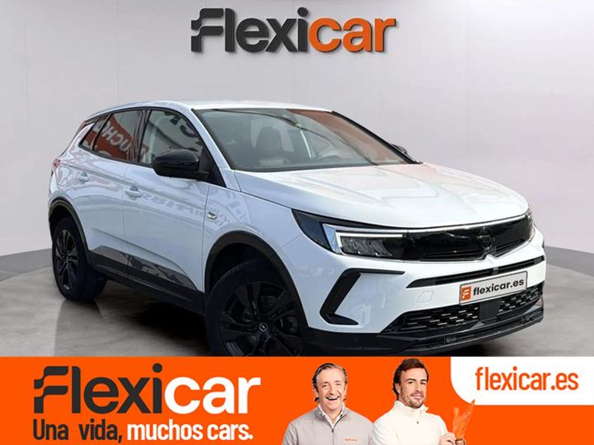 Imagen de OPEL Grandland