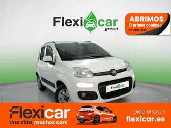 Imagen de FIAT Panda 1.2 Lounge