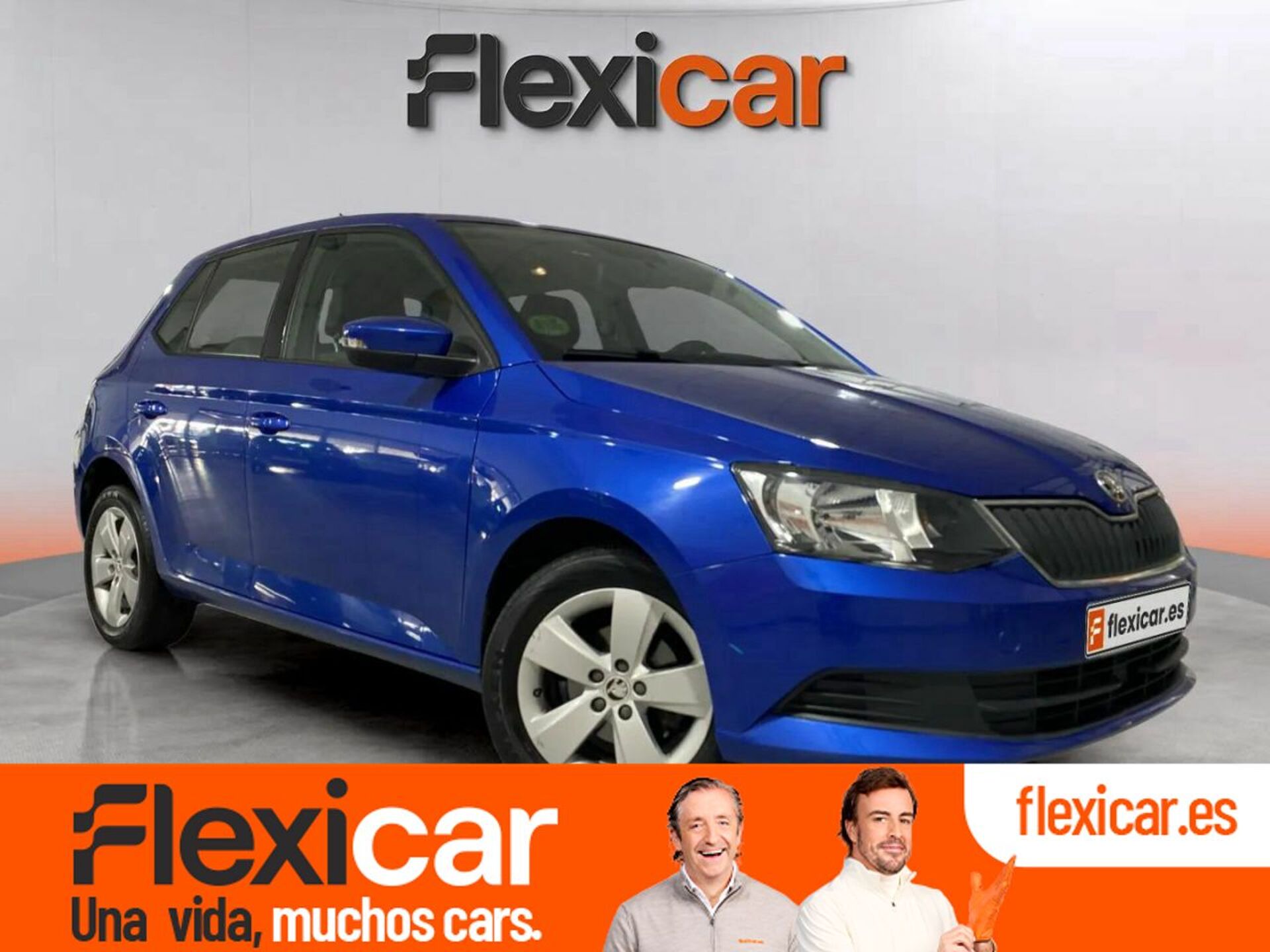 Imagen de SKODA Fabia