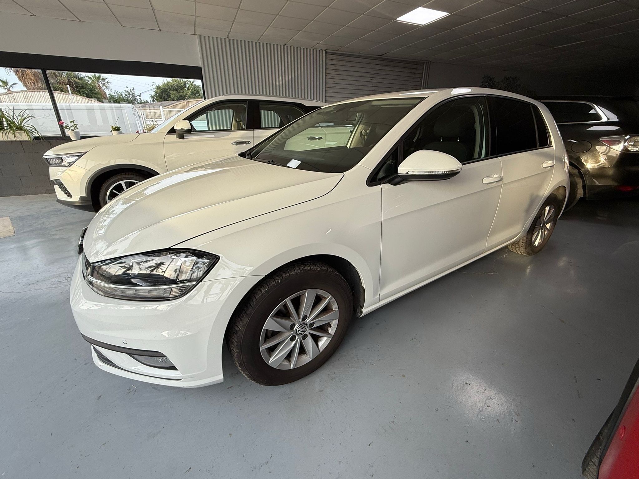 VOLKSWAGEN Golf (Advance 1.6 TDI 85kW (115CV)) en Almería