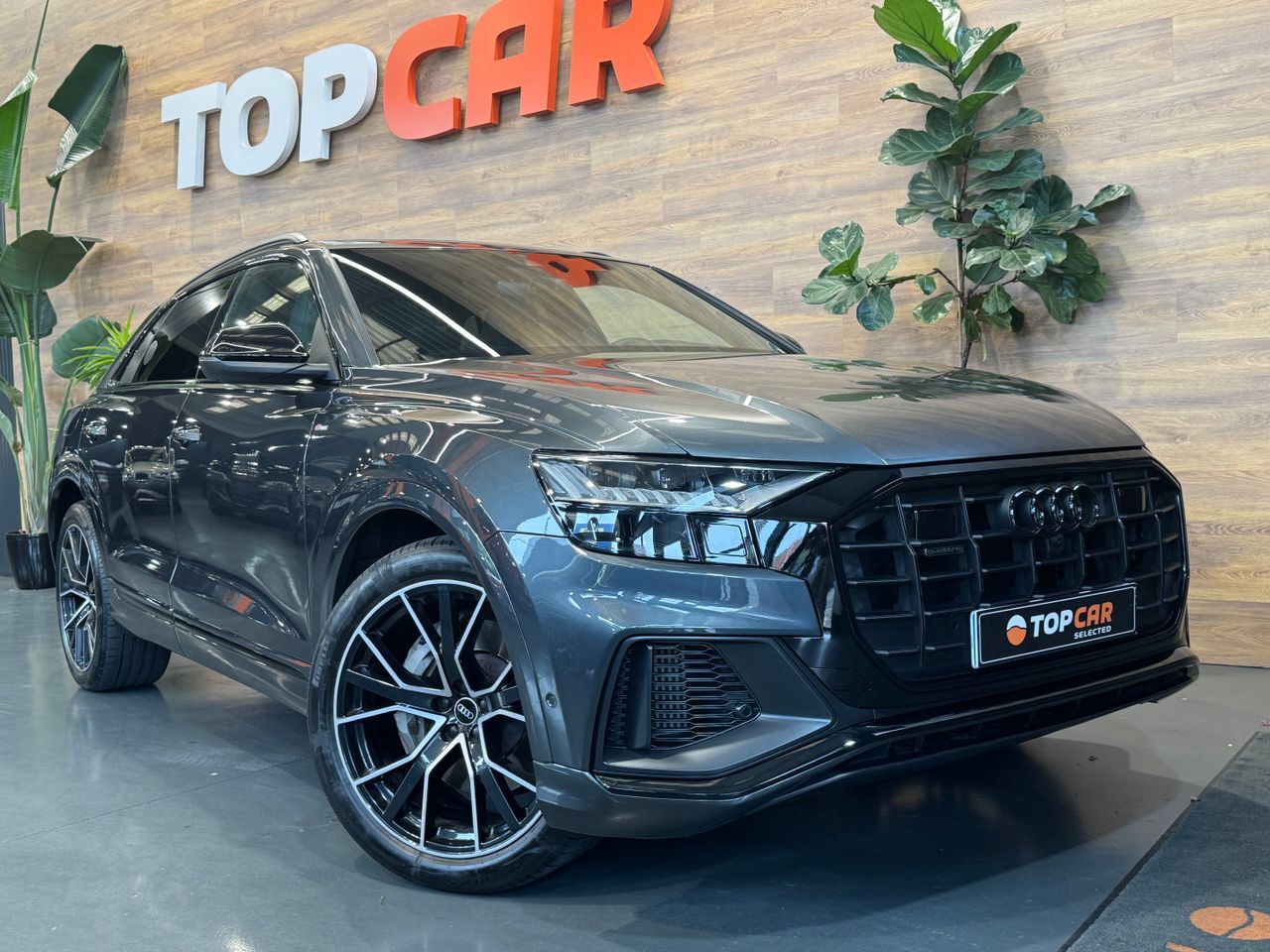 AUDI Q8 (55 TFSIe Quattro  Black Line  380 cv) en Vizcaya