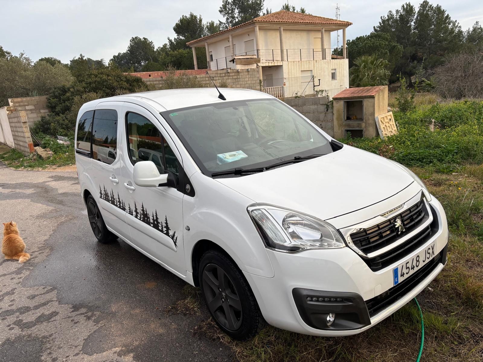 Foto del PEUGEOT Partner Tepee 1.6BlueHDI Outdoor 100