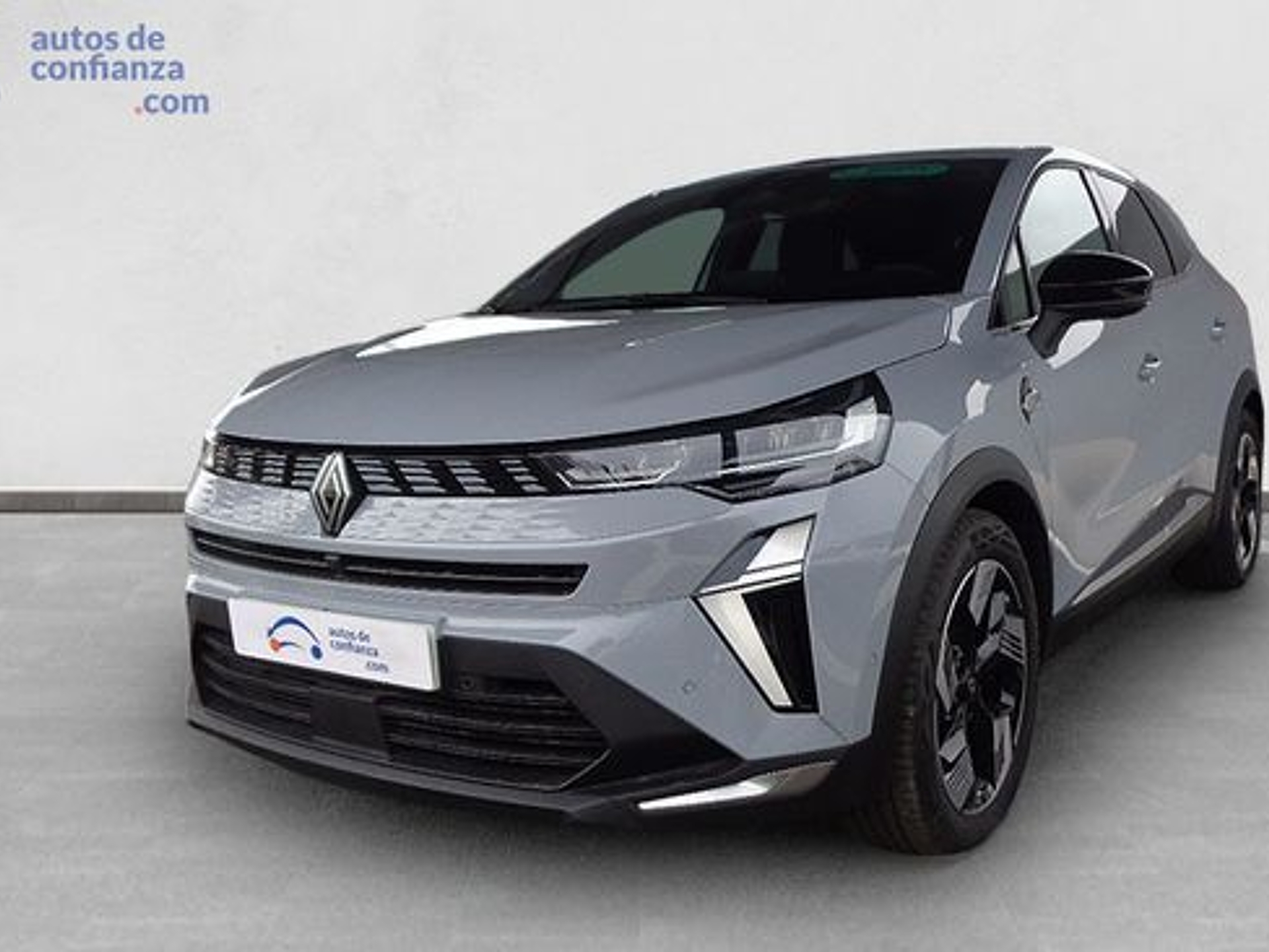 Imagen de RENAULT Symbioz